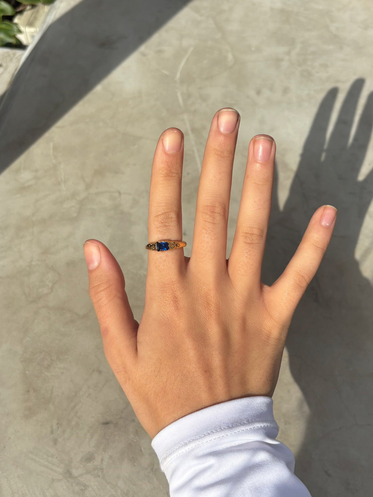 Thalassa ring — hover